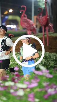 BIB:  <button type="button" onclick="openModal(27589952)" class="btn btn-primary btn-sm float-right" data-toggle="modal" data-target=".modal-high-quality">
                <i class="fa fa-download"></i> Download
                </button>